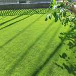 【わんちゃんが遊べる様に人工芝でリノベーション！！】